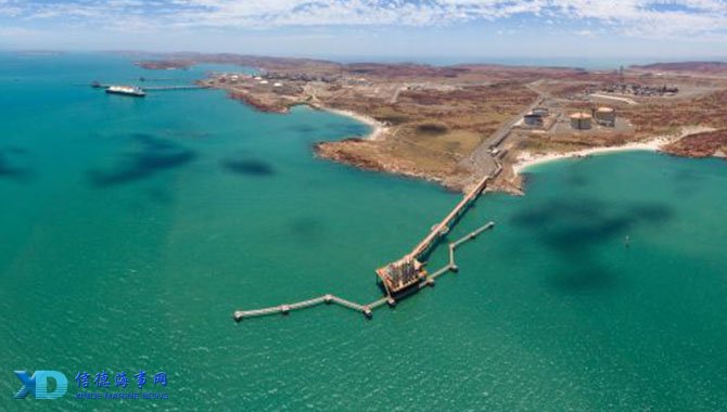 【菜鸟】科沃德12分钟16分8板遗憾伤退 费尔斯21分奎因13分6板4助